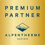 Nh96 Inklusive Kostenfreiem Eintritt In Alpentherme * Bad Hofgastein